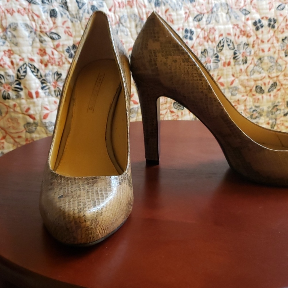 Snake skin high heel